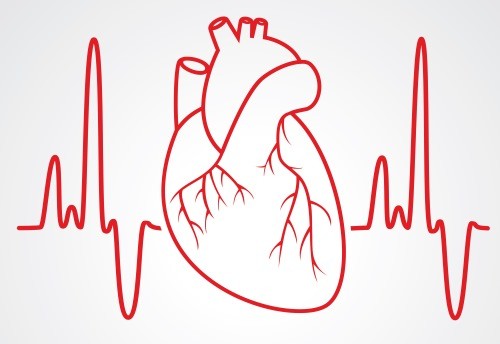 ЕКГ серця: що це таке? » журнал здоров'я iHealth 
