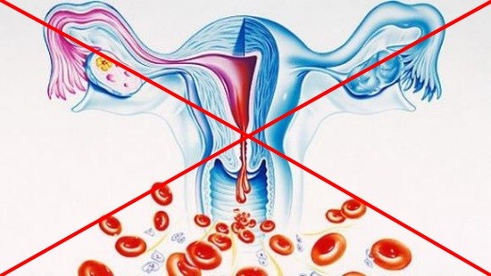 Менструация – противопоказание к кольпоскопии