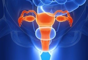 Эндоскопия матки и ее шейки в гинекологии