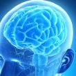 ЭЭГ и МРТ: роль в диагностике патологии головного мозга