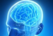 ЭЭГ и МРТ: роль в диагностике патологии головного мозга