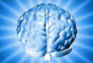 МРТ головного мозга: особенности, подготовка, ощущения во время процедуры