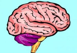 Показания и противопоказания для проведения МРТ головного мозга